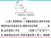 初三九年级化学下册河南同步练习3十单元酸和碱3专题四中和反应及pH课件PPT