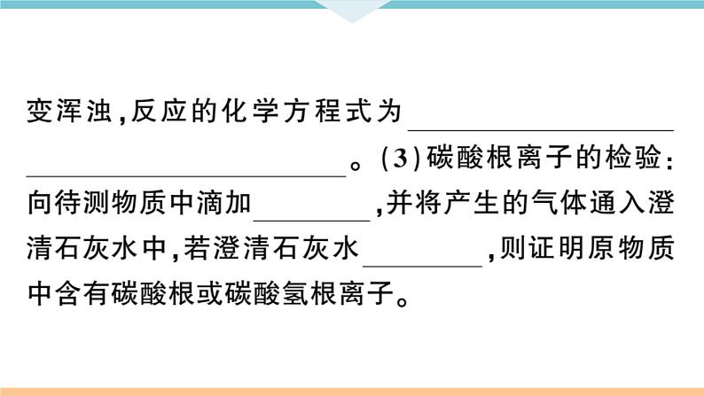 初三九年级化学下册河南同步练习4十一单元盐化肥１课时氯化钠碳酸钠碳酸氢钠和碳酸钙课件PPT第6页