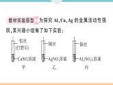 初三九年级化学下册江西同步练习1八单元金属和金属材料6实验突破二金属活动性顺序的探究课件PPT