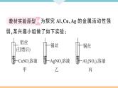 初三九年级化学下册江西同步练习1八单元金属和金属材料6实验突破二金属活动性顺序的探究课件PPT