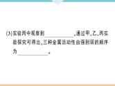 初三九年级化学下册江西同步练习1八单元金属和金属材料6实验突破二金属活动性顺序的探究课件PPT