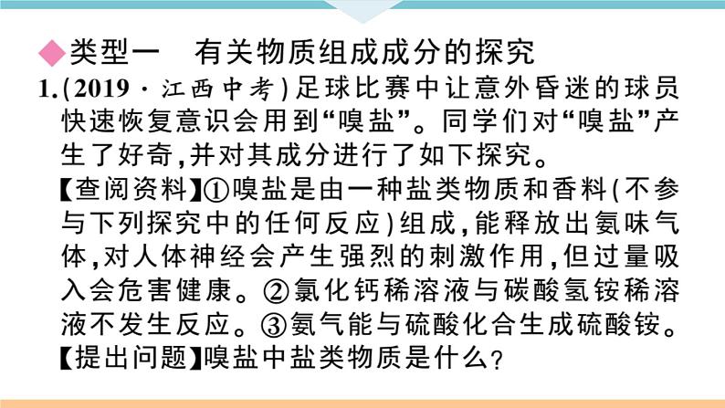 初三九年级化学下册江西同步练习6江西特色题型专练4题型四实验探究题课件PPT第2页