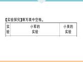 初三九年级化学下册江西同步练习6江西特色题型专练4题型四实验探究题课件PPT