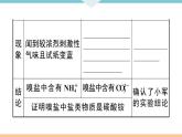 初三九年级化学下册江西同步练习6江西特色题型专练4题型四实验探究题课件PPT