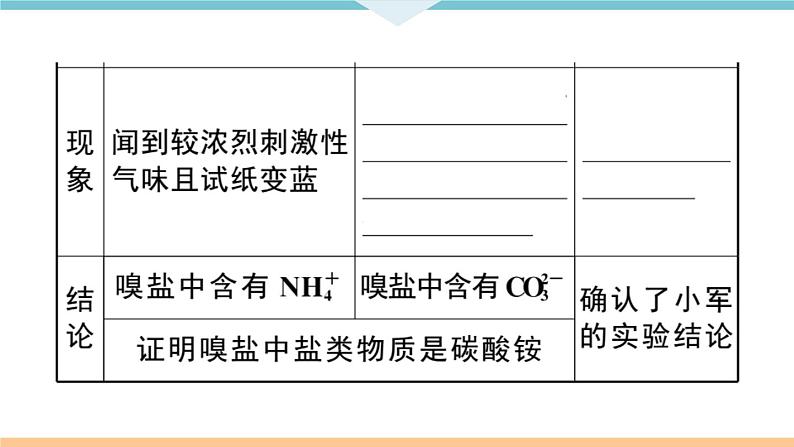 初三九年级化学下册江西同步练习6江西特色题型专练4题型四实验探究题课件PPT第5页