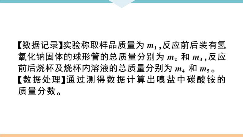 初三九年级化学下册江西同步练习6江西特色题型专练4题型四实验探究题课件PPT第7页