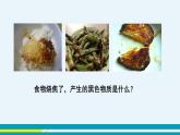 10.1《食物中的有机物》课件PPT+教案+练习