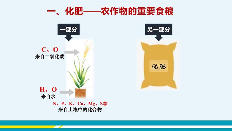 11.3《化学与农业生产》课件PPT+教案+练习04