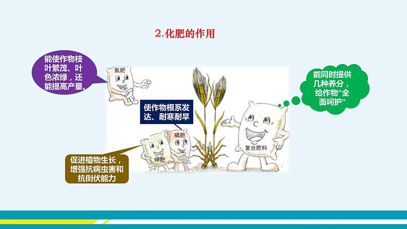 11.3《化学与农业生产》课件PPT+教案+练习06