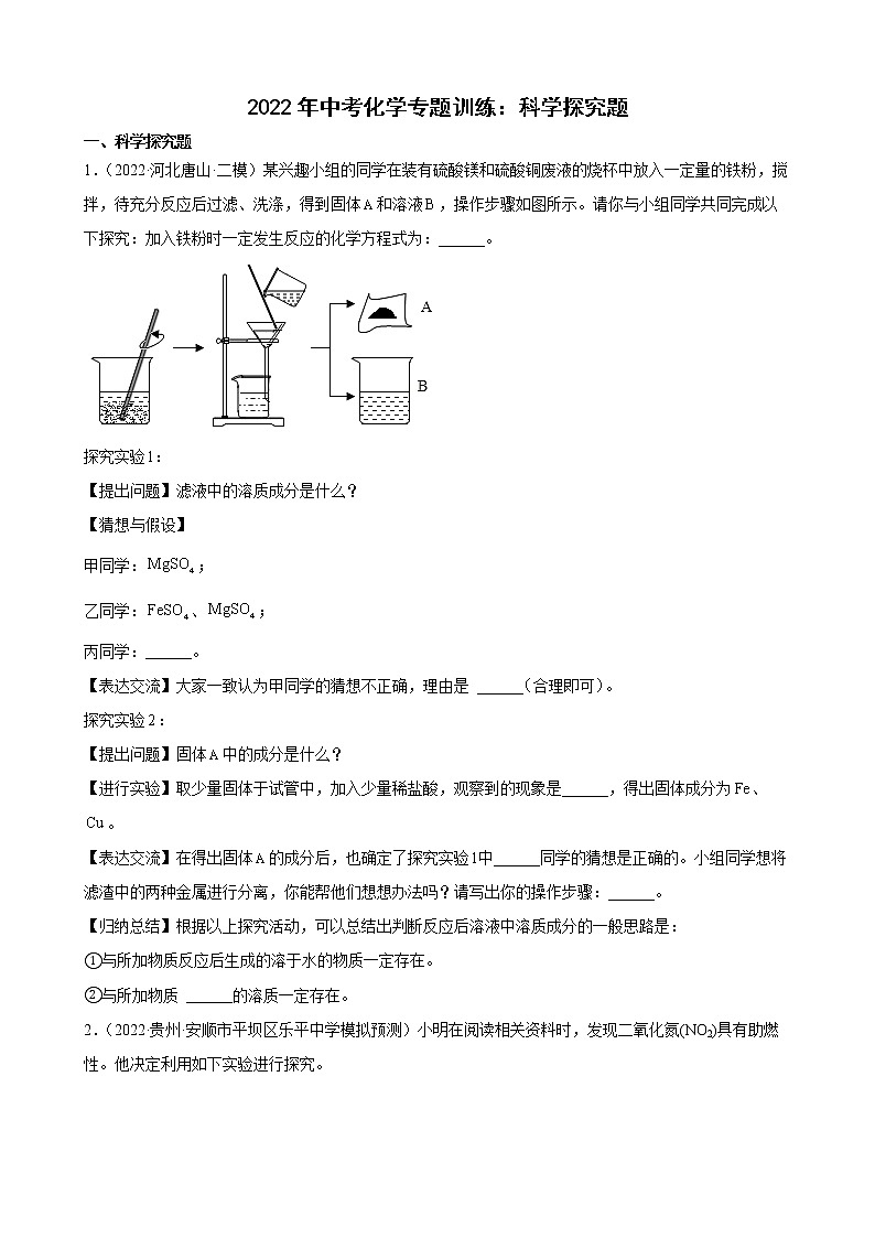 2022年中考化学专题训练科学探究题第1页