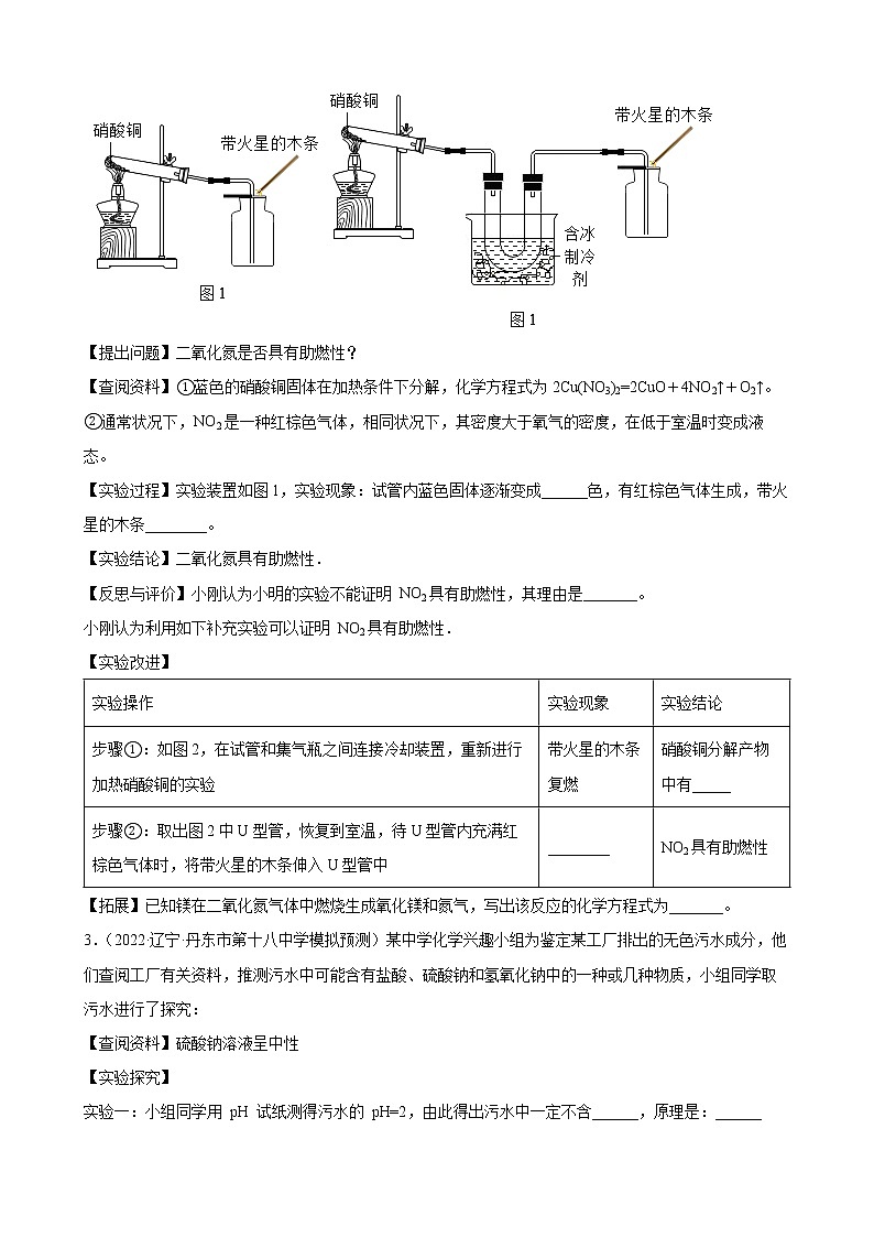 2022年中考化学专题训练科学探究题第2页