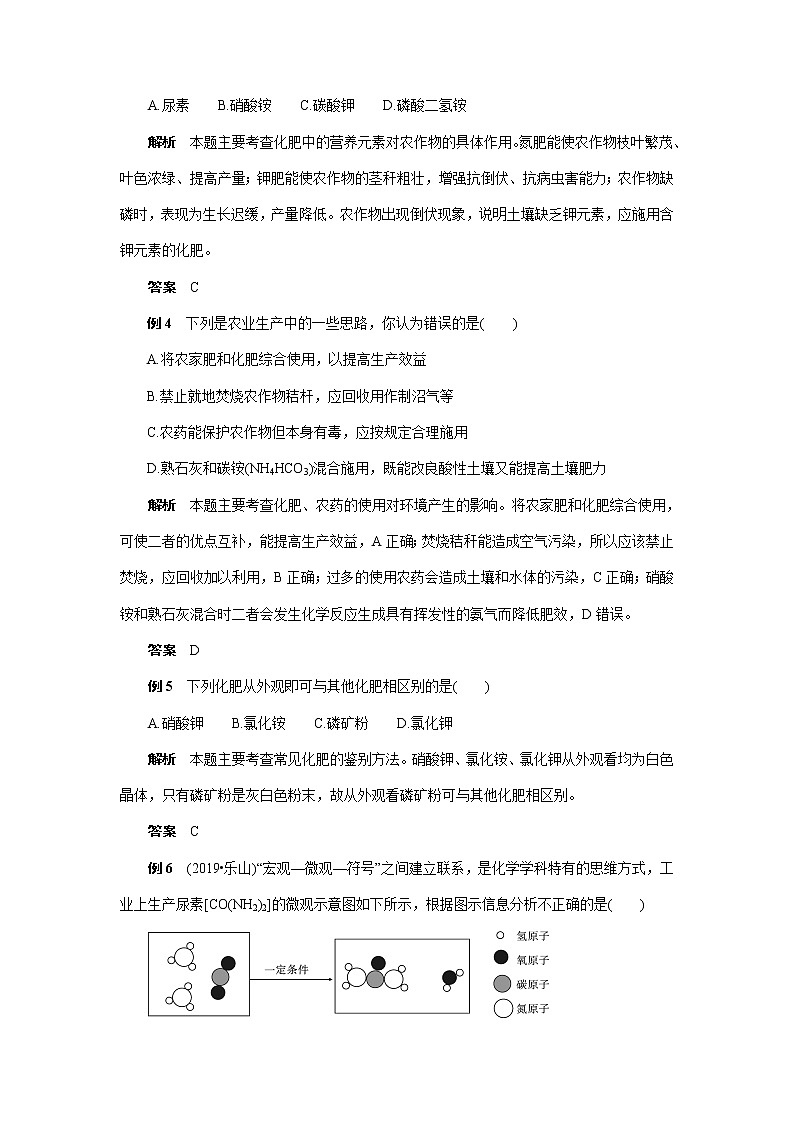 中考化学复习热点题型聚焦化学肥料讲义第2页