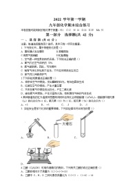 广东省广州市海珠区为明学校2022-2023学年九年级上学期期末化学试题(无答案)