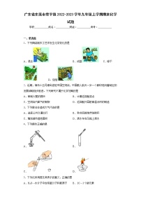 广东省东莞市常平镇2022-2023学年九年级上学期期末化学试题(含答案)