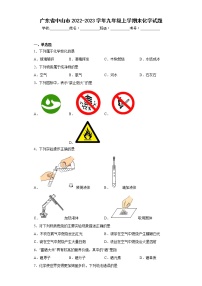 广东省中山市2022-2023学年九年级上学期末化学试题(含答案)