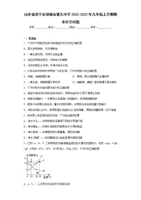 山东省济宁市邹城市第九中学2022-2023年九年级上学期期末化学试题(含答案)