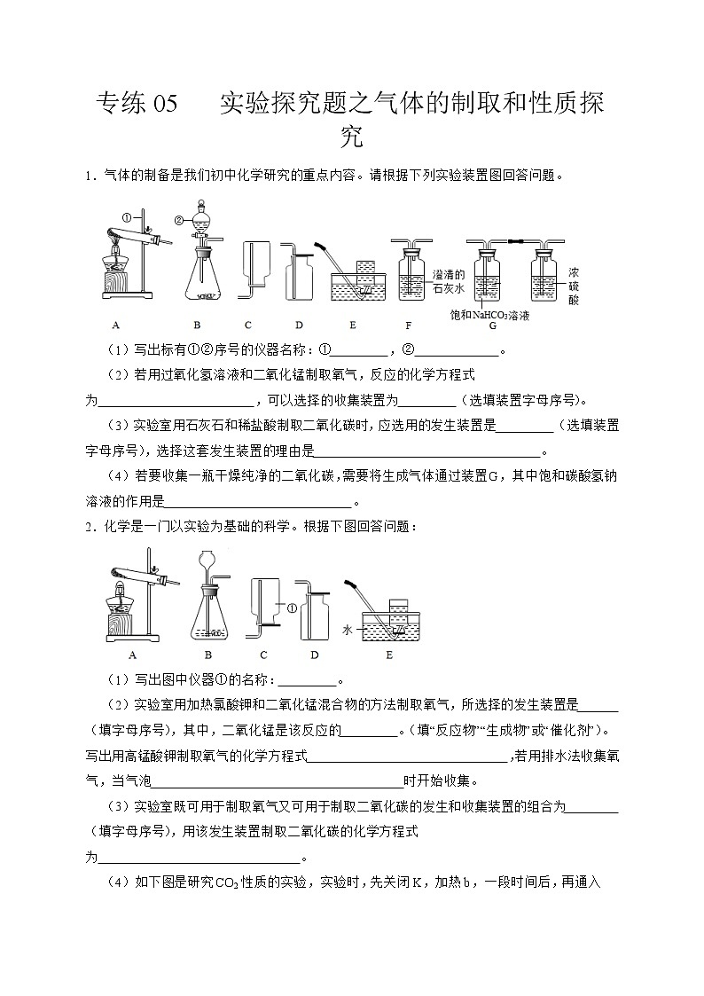 专练05  实验探究题之气体的制取和性质探究专题-备战中考化学压轴题提分专练（深圳专用）01
