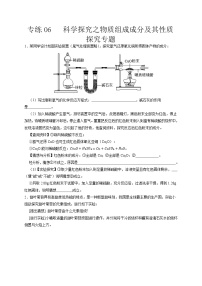 专练06  科学探究之物质组成成分及其性质探究专题-备战中考化学压轴题提分专练（深圳专用）