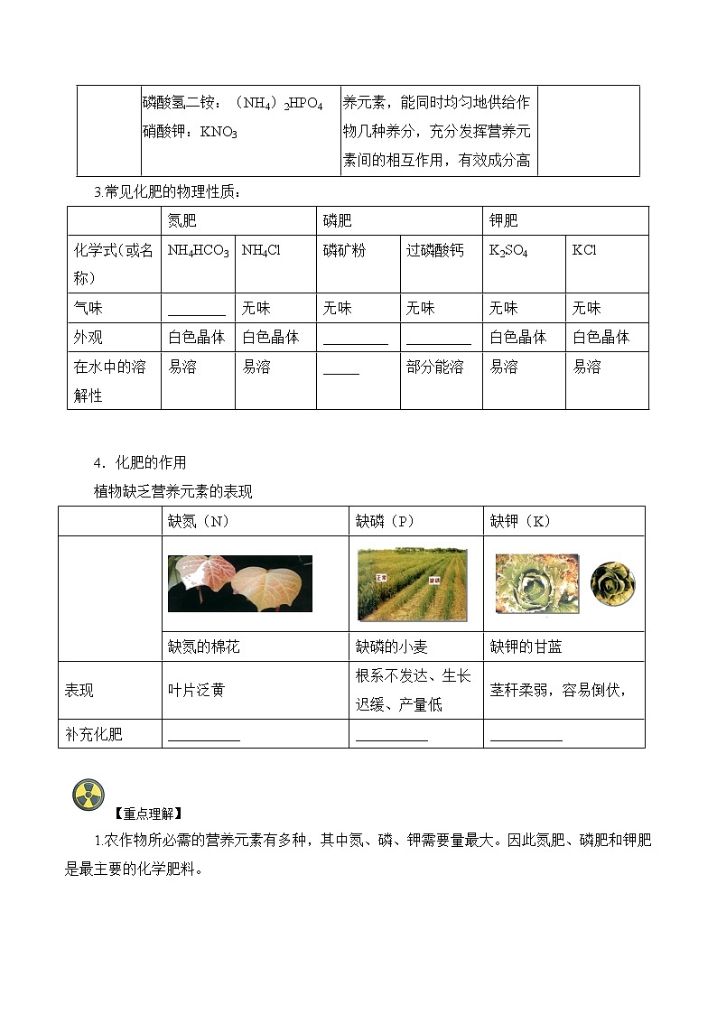第12讲  化肥-中考化学一轮复习精品讲义+练习（人教版）02