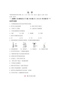 重庆鲁能巴蜀中学2022-2023第一学期初三化学试题卷期末(1)