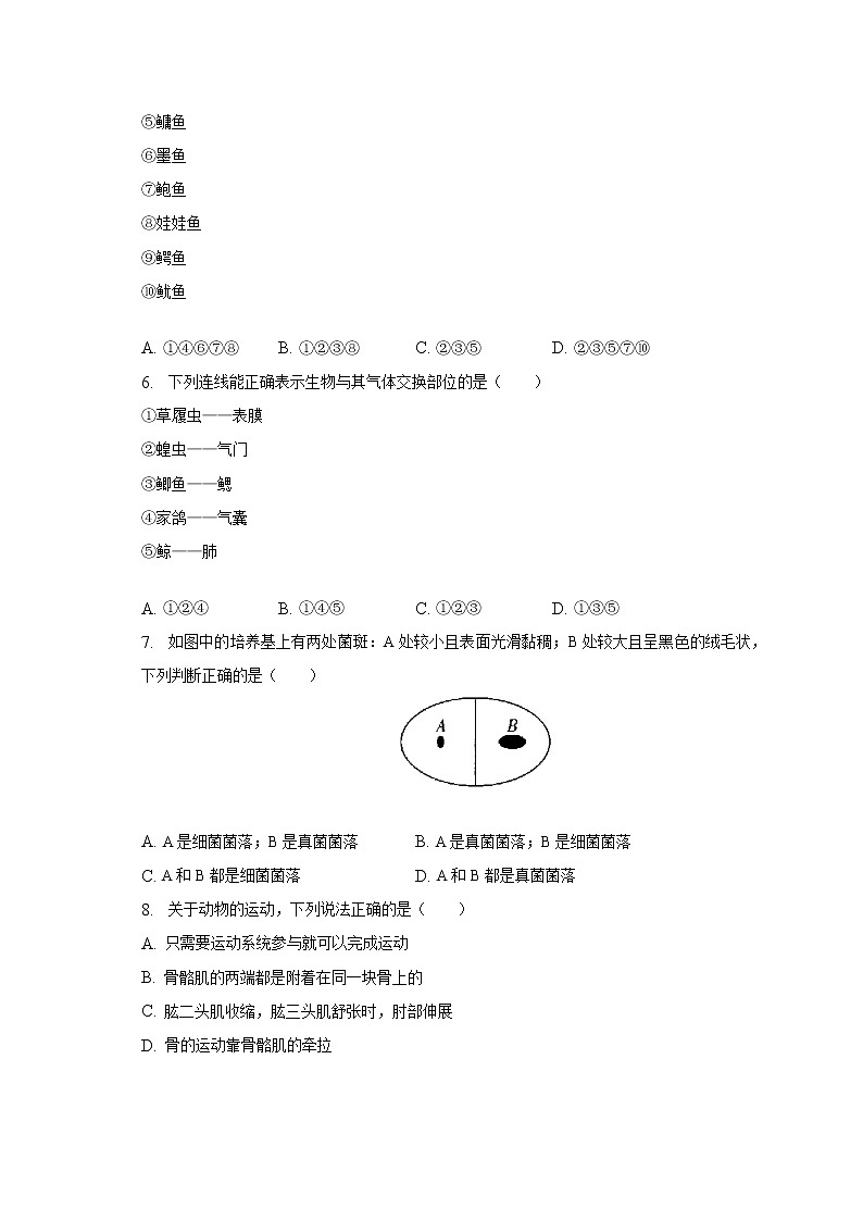 山东省青岛市市北区2022-2023学年八年级上学期期末生物试卷(含答案)02