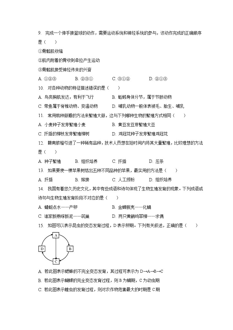 山东省青岛市市北区2022-2023学年八年级上学期期末生物试卷(含答案)03