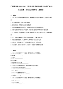 广西贵港市2020-2022三年中考化学真题知识点分类汇编4-化学元素、化学式与化合价（含解析）