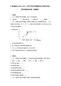 广西桂林市2020-2022三年中考化学真题知识点分类汇编5-碳和碳的氧化物（含解析）