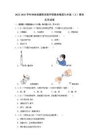 河南省濮阳实验学校教育集团2022-2023学年九年级上学期期末化学试卷(含答案)