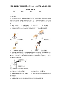 河北省石家庄市师大附属中学2022-2023学年九年级上学期期末化学试题(含答案)