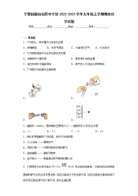 宁夏回族自治区中宁县2022-2023学年九年级上学期期末化学试题(含答案)