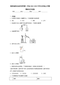 陕西省西安市经开区第一学校2022-2023学年九年级上学期期末化学试题(含答案)