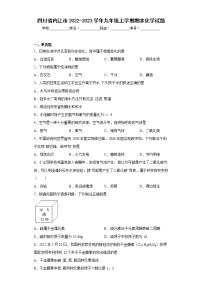 四川省内江市2022-2023学年九年级上学期期末化学试题(含答案)