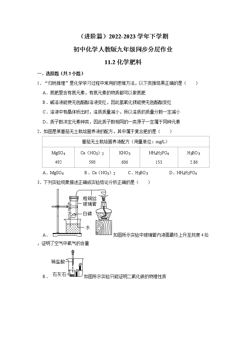（进阶篇）2022-2023学年下学期初中化学人教版九年级同步分层作业11.2化学肥料第1页