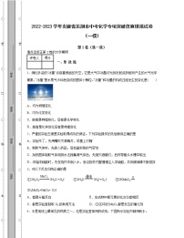 2022-2023学年安徽省芜湖市中考化学专项突破仿真模拟试卷（一模二模）含解析