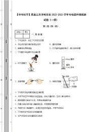 【中考化学】黑龙江齐齐哈尔市2022-2023学年专项提升模拟测试题（一模二模）含解析