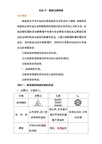 备战2023年新中考二轮化学专题导练 考点19 碳的几种单质