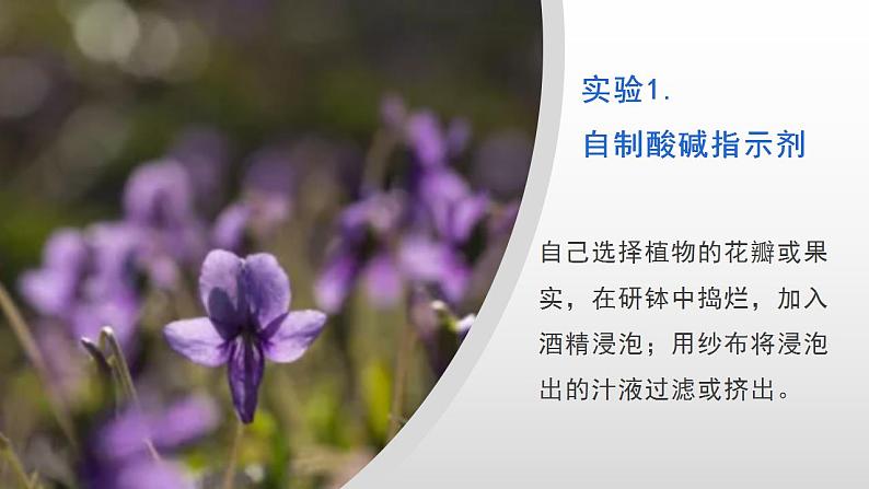 人教版化学九年级下册 实验活动7实验活动7溶液酸碱性的检验 课件+教案07