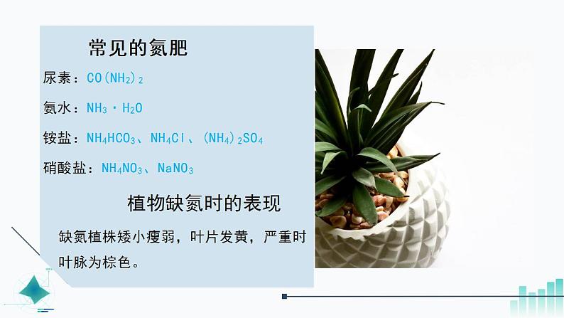 人教版化学九年级下册 11.2化学肥料 课件第7页