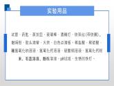 人教版化学九年级下册 实验活动6酸碱的化学性质 课件+教案