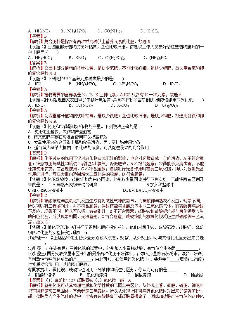 课题2 化学肥料-九年级化学下册尖子生必备考点精讲精练（人教版）03