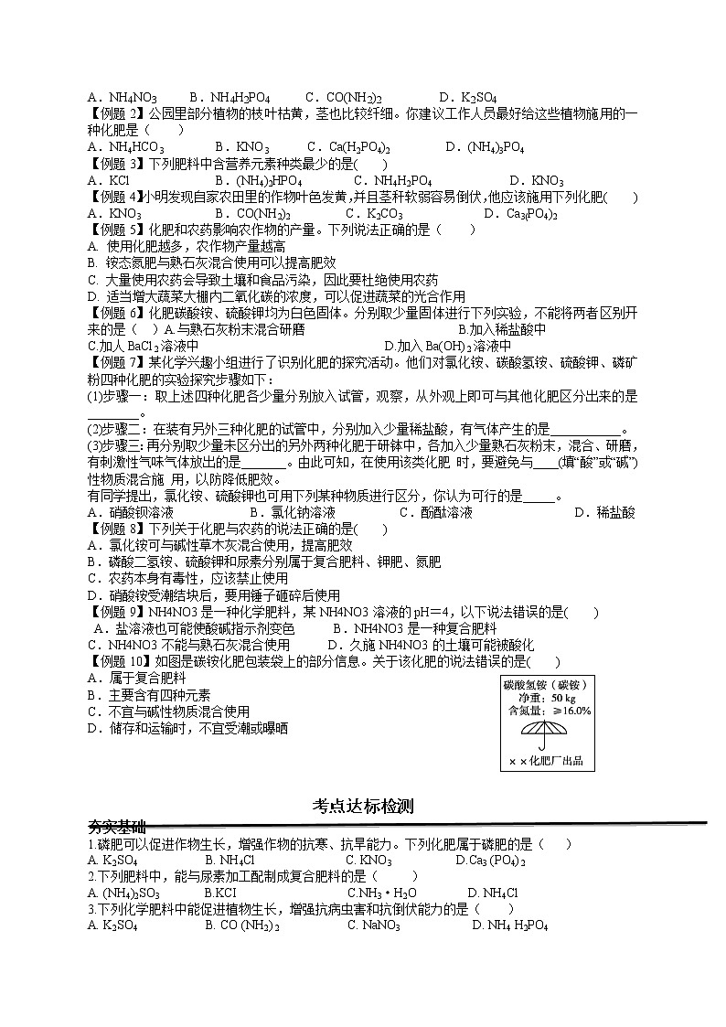 课题2 化学肥料-九年级化学下册尖子生必备考点精讲精练（人教版）03