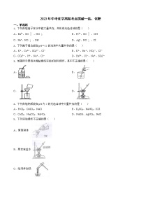 2023年中考化学高频考点突破--盐、化肥