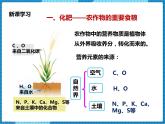 鲁教版 九年化学下 第十一单元 第3节 化学与农业生产（课件+教案+练习）