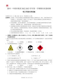 广东省惠州市第一中学教育集团2022-2023学年九年级上学期期末教学质量检测化学试卷