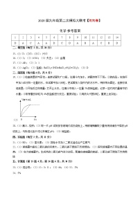 初中化学中考复习 （海南卷） 2020年九年级化学第二次模拟大联考（参考答案）