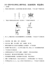 初中化学中考复习 2021届中考化学核心素养专练：溶液的配制　粗盐提纯