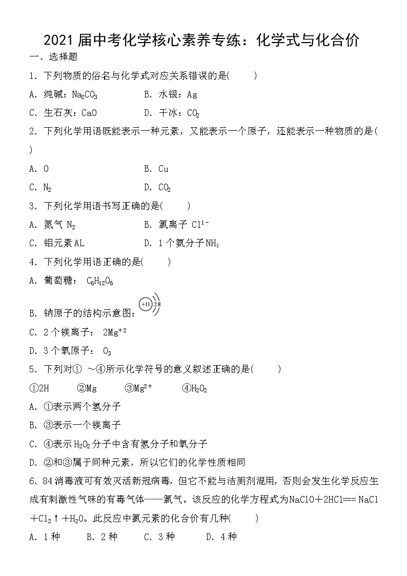 初中化学中考复习 2021届中考化学核心素养专练：化学式与化合价第1页