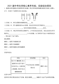 初中化学中考复习 2021届中考化学核心素养专练：实验综合探究