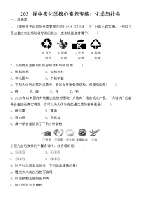 初中化学中考复习 2021届中考化学核心素养专练：化学与社会